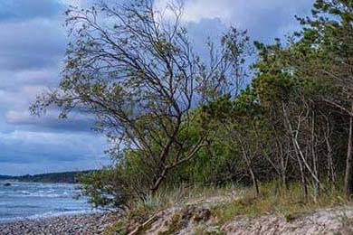 博卡防线缺乏整体横向协同，博卡防线缺乏整体横向协同功能