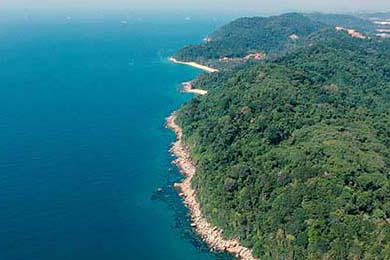 NBA球队战术调整及应用，nba篮球战术